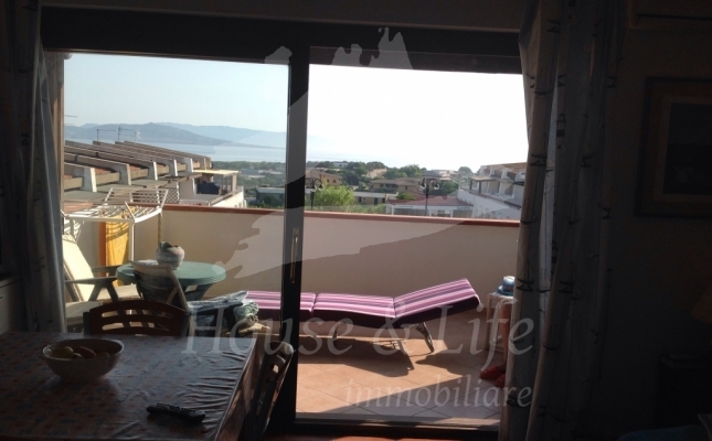 image (13) image (13)