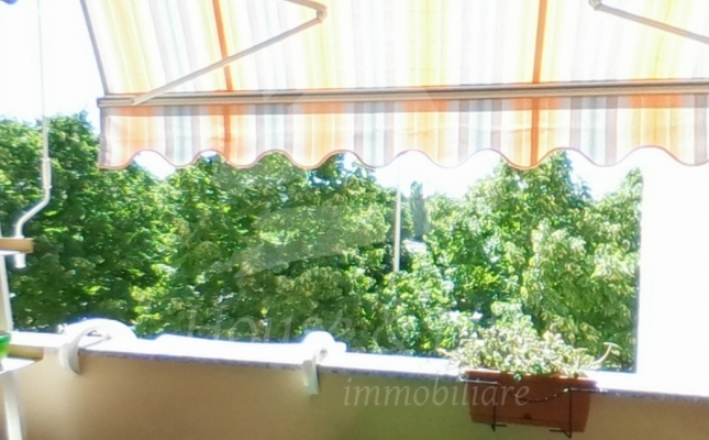 terrazzo_2_c142ac terrazzo_2_c142ac