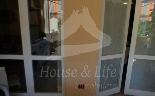 terrazzo_4_bfc755 terrazzo_4_bfc755