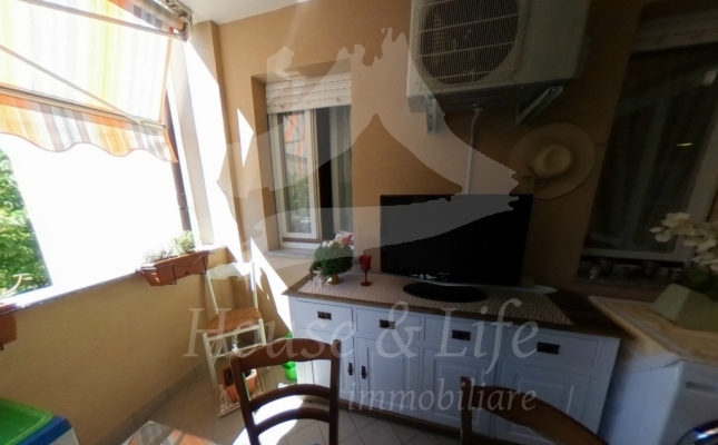 terrazzo_7_17a3f8 terrazzo_7_17a3f8