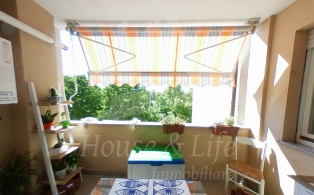 terrazzo_8_6f927e terrazzo_8_6f927e