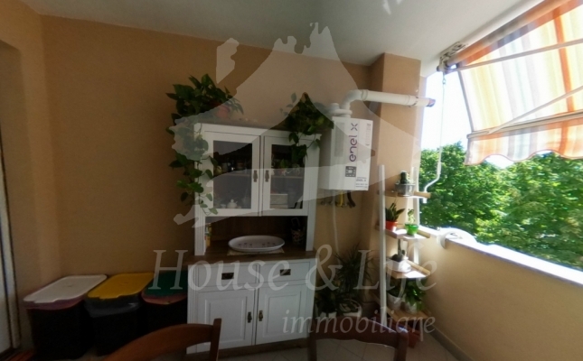 terrazzo_9_8b0040 terrazzo_9_8b0040