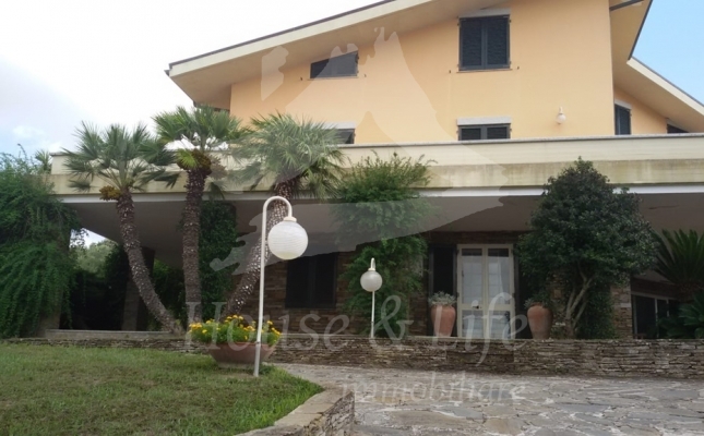 53f53701-68a2-41ea-b0ea-4d7cb11bdf69 53f53701-68a2-41ea-b0ea-4d7cb11bdf69