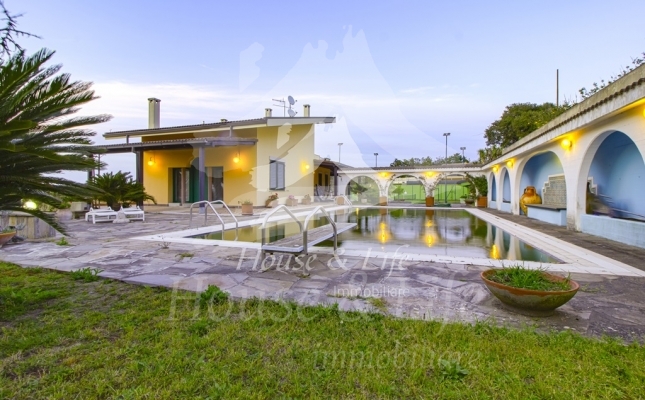 62874 copia 62874 copia