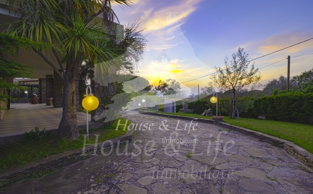 63222 copia 63222 copia