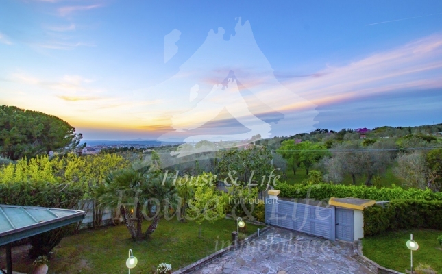 63666 copia 63666 copia