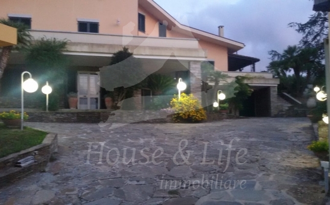 7ef7a6a1-87e7-47b7-bcc3-028cf2e8e8ed 7ef7a6a1-87e7-47b7-bcc3-028cf2e8e8ed