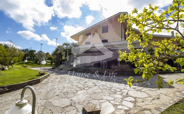 IMG_6102 copia IMG_6102 copia