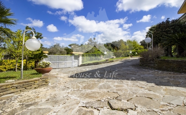 IMG_6104 copia IMG_6104 copia