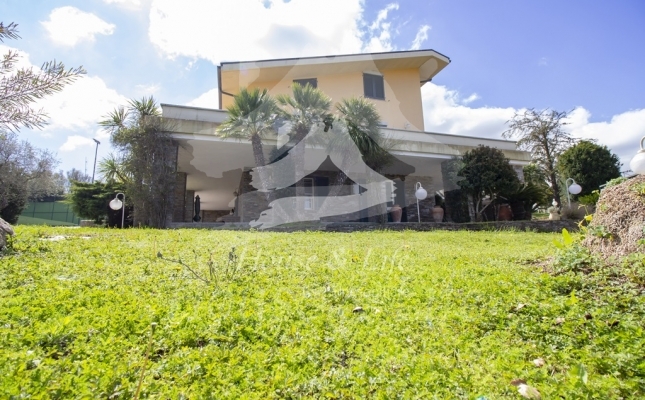 IMG_6105 copia IMG_6105 copia