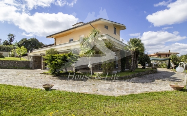 IMG_6106 copia IMG_6106 copia