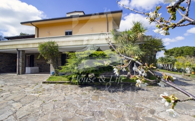 IMG_6107 copia IMG_6107 copia