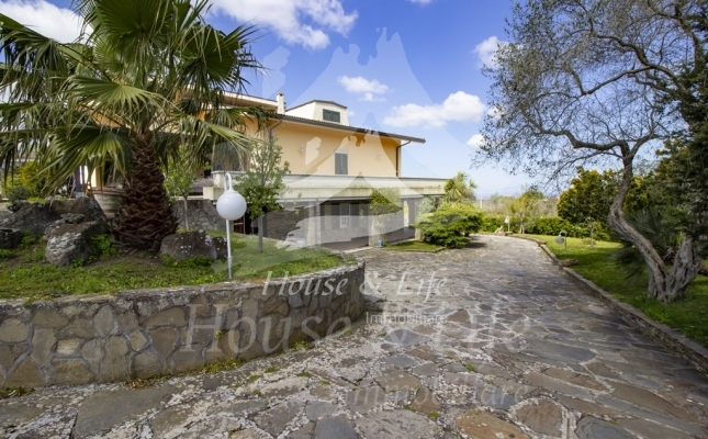 IMG_6108 copia IMG_6108 copia