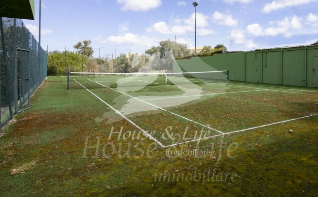 IMG_6110 copia IMG_6110 copia