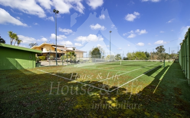 IMG_6111 copia IMG_6111 copia