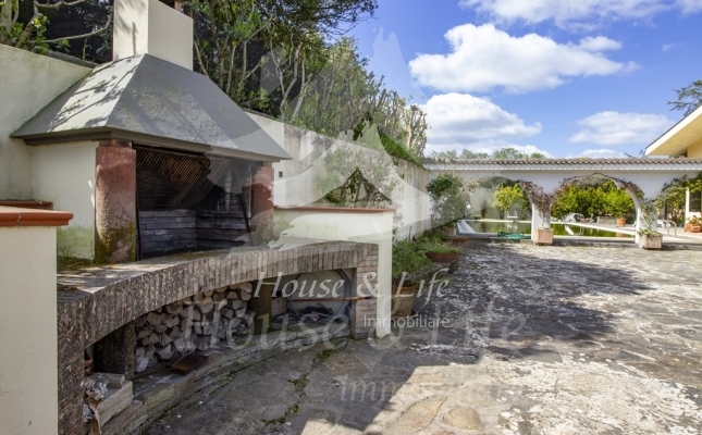 IMG_6114 copia IMG_6114 copia