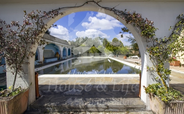 IMG_6117.c IMG_6117.c