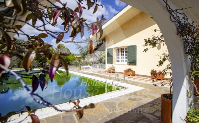 IMG_6123 copia IMG_6123 copia