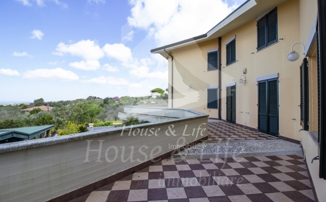 IMG_6127 copia IMG_6127 copia