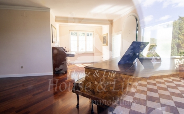 IMG_6130 copia IMG_6130 copia