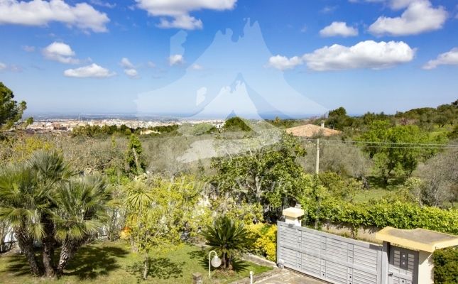 IMG_6132 copia IMG_6132 copia