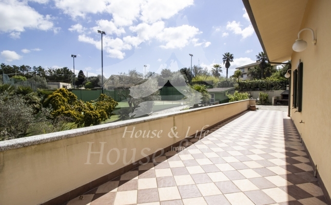 IMG_6134 copia IMG_6134 copia