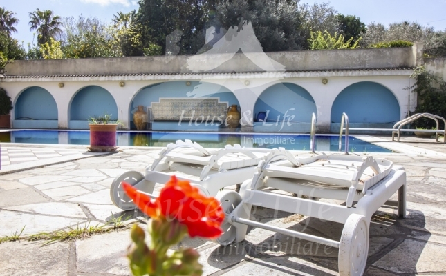 IMG_6136 copia IMG_6136 copia