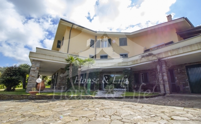 IMG_6137 copia IMG_6137 copia