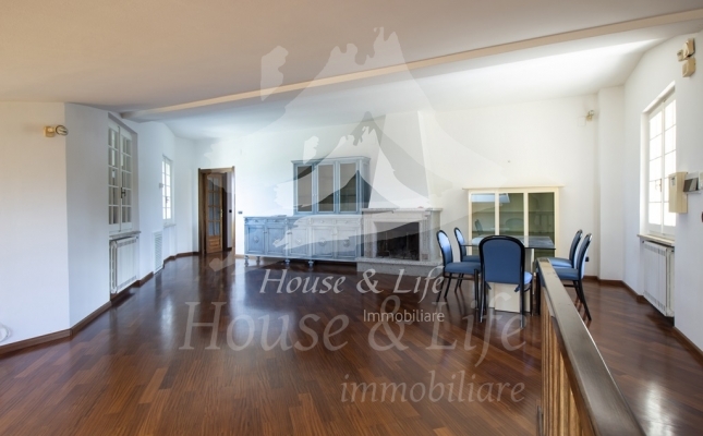 IMG_6153 copia IMG_6153 copia