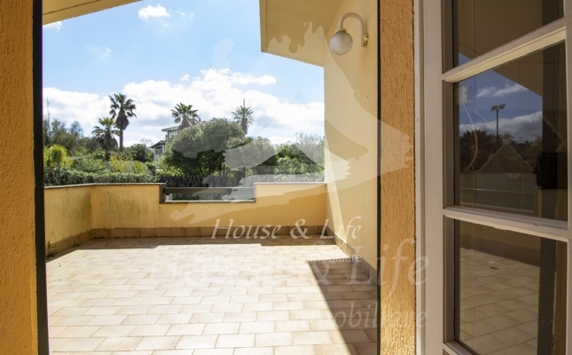 IMG_6156 copia IMG_6156 copia