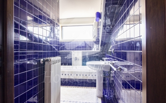 IMG_6161 copia IMG_6161 copia