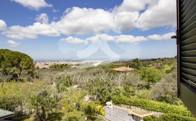 IMG_6164 copia IMG_6164 copia