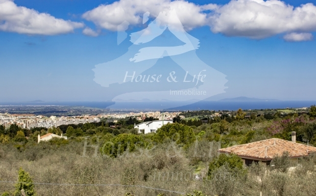 IMG_6166 copia IMG_6166 copia