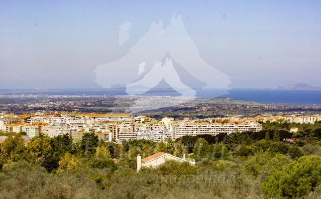 IMG_6168 copia IMG_6168 copia