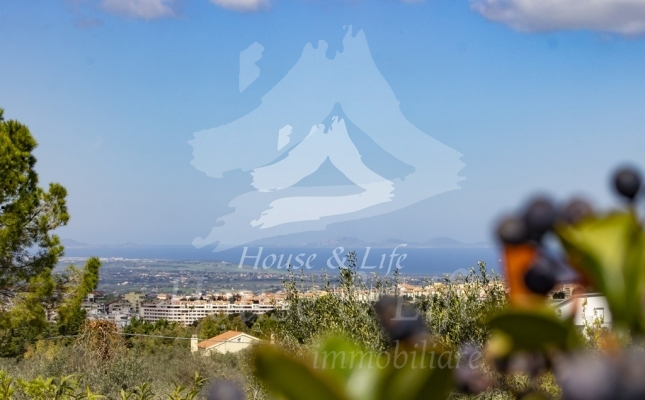 IMG_6170 copia IMG_6170 copia