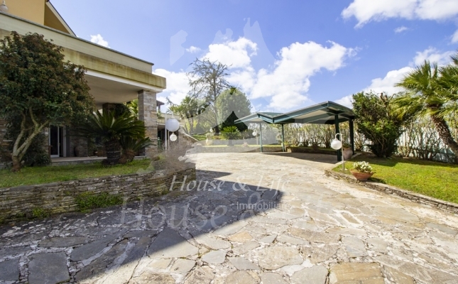 IMG_6171 copia IMG_6171 copia