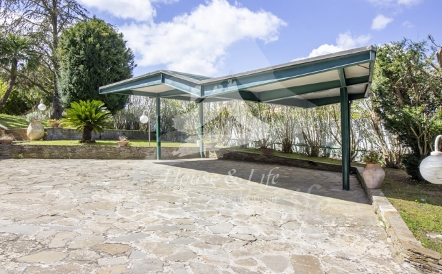 IMG_6175 copia IMG_6175 copia