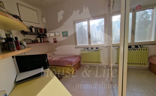 19m Camera 19m Camera