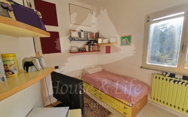 20m Camera 20m Camera