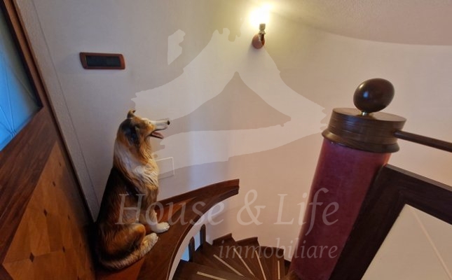 31 Scale interne 31 Scale interne