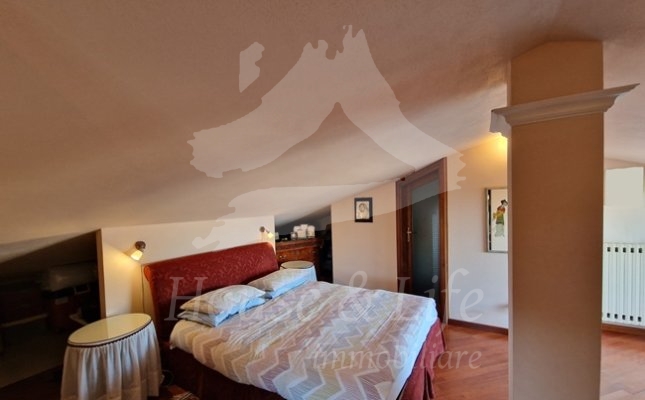 37m Camera 37m Camera