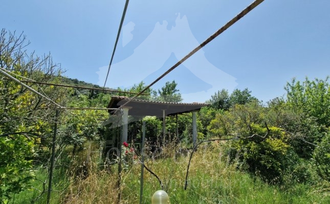 34 Giardino 34 Giardino