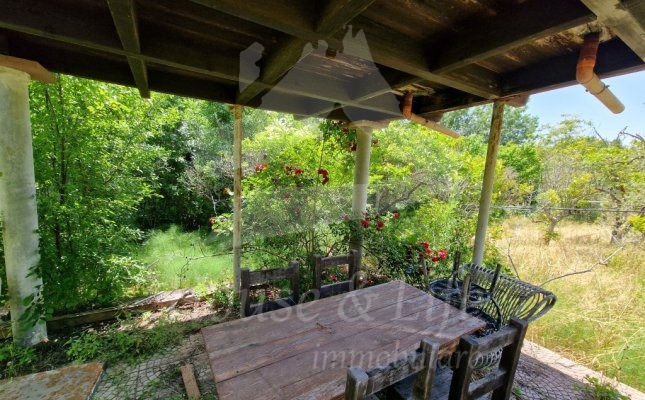 35 Giardino 35 Giardino