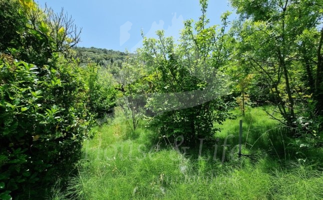 36 Giardino 36 Giardino