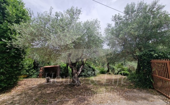 34 Esterni 34 Esterni