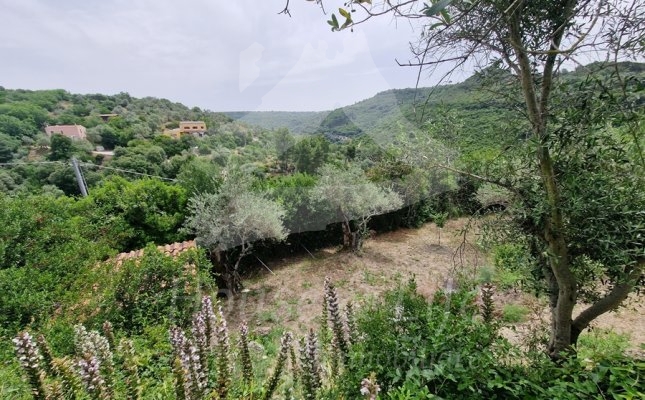 35 Esterni 35 Esterni