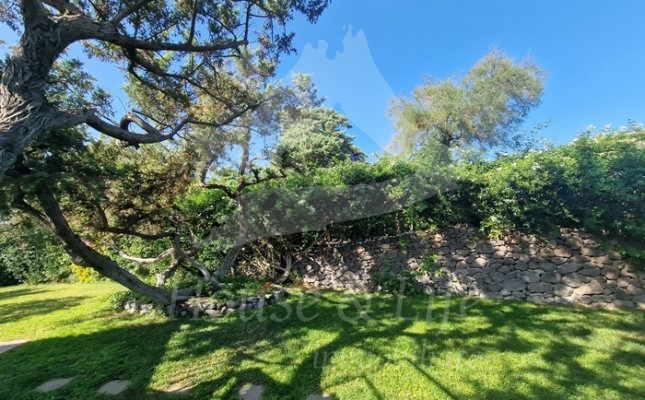 54 Giardino 54 Giardino