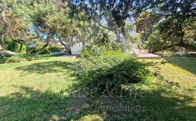 5 Giardino 5 Giardino