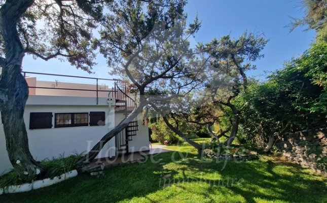 60 Giardino 60 Giardino