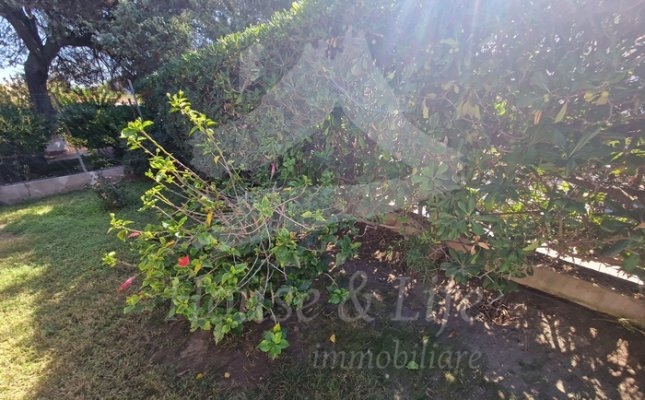 62 Giardino 62 Giardino